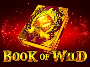 Book of Wild game thumbnail
